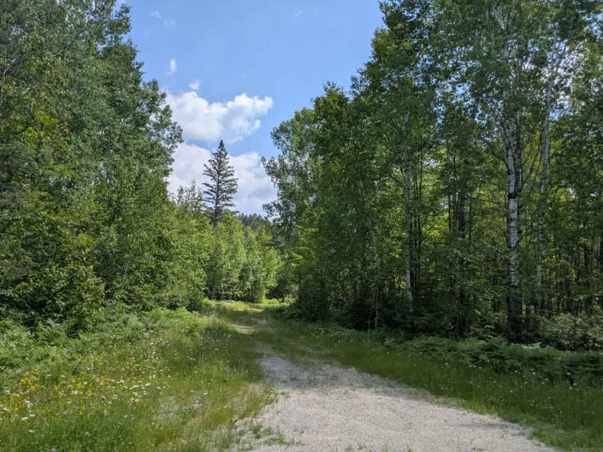 Hulum Road photo 3