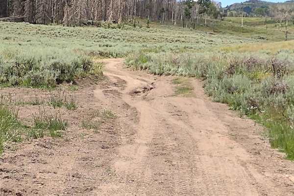 Paiute Side Trail 53 (FS 41225)