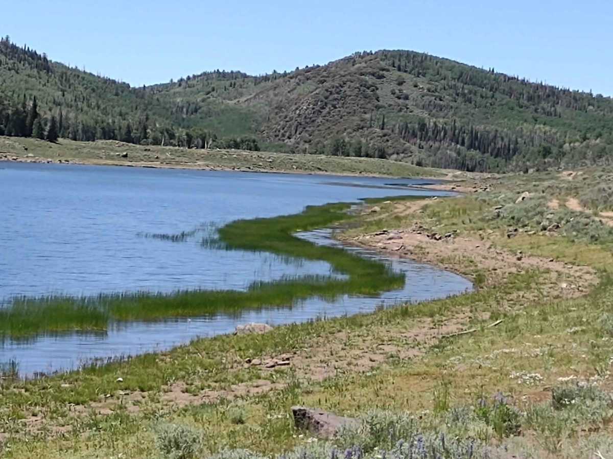 Big Lake Loop - FS 41154 photo 3