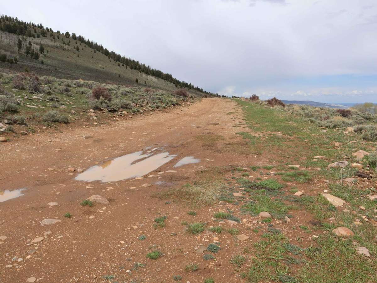 Poison Mountain photo 5