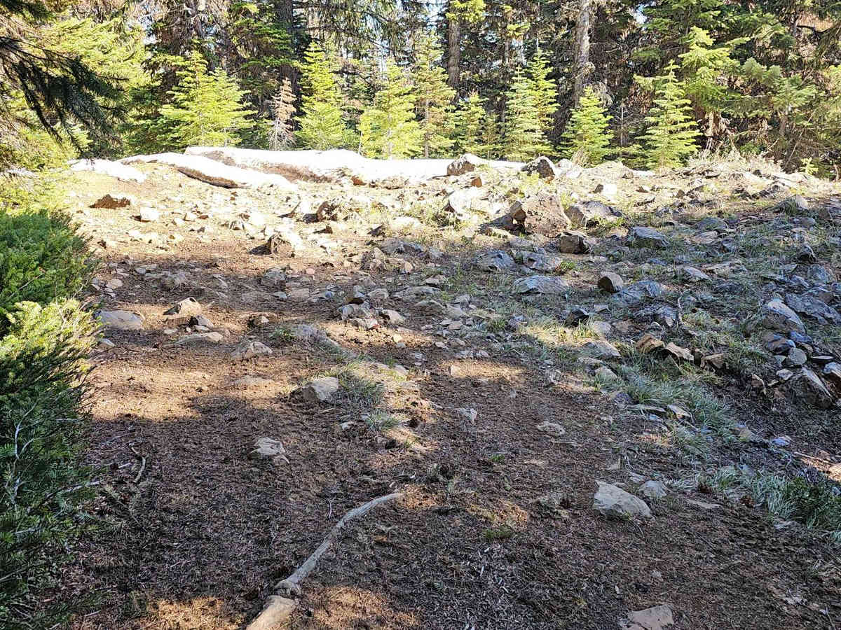 4W310 Frost Mountain photo 5