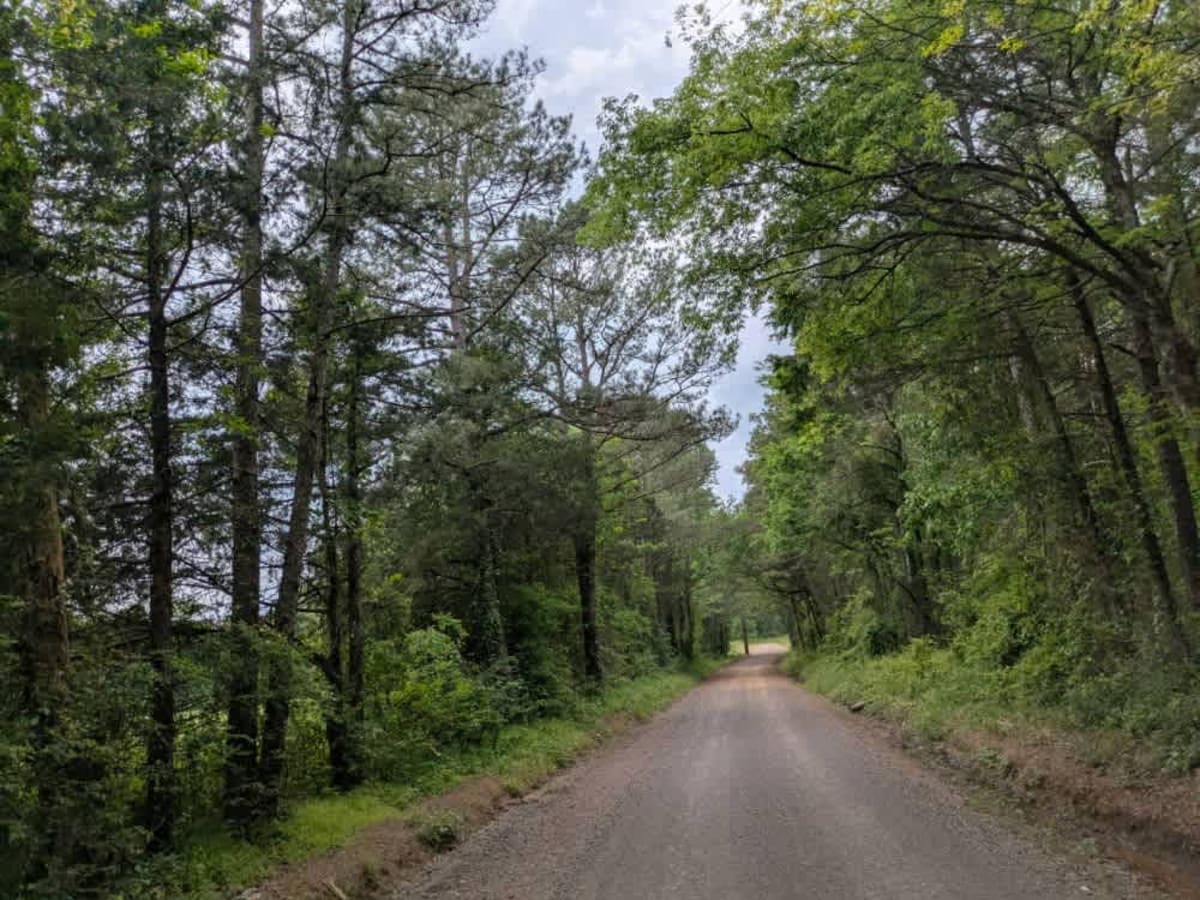 Slo Fork Road photo 6