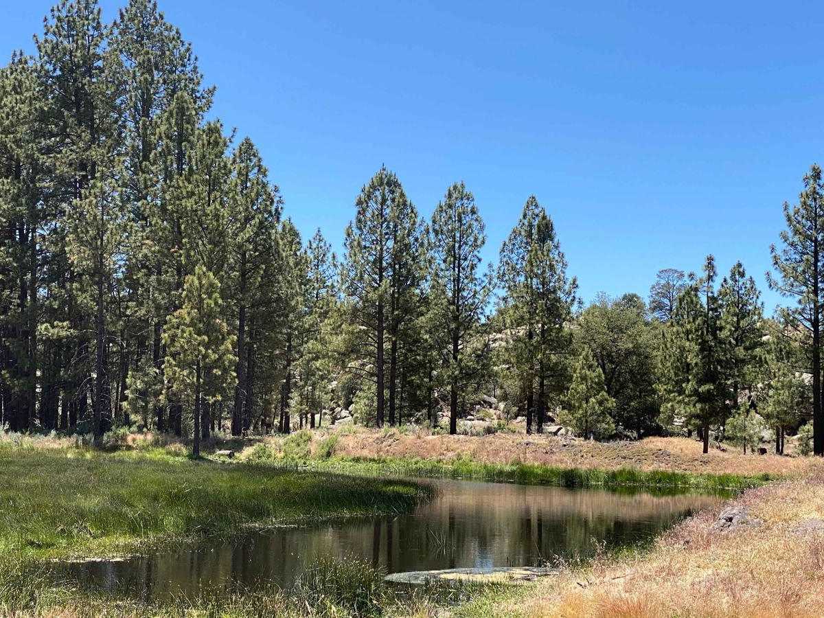 South of Laguna Hanson photo 6