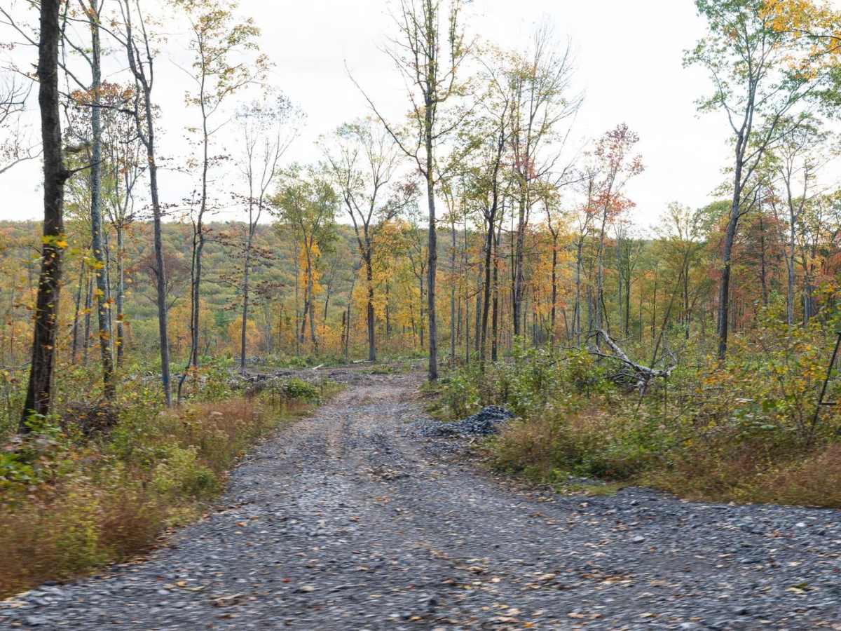 Harry's Valley Road trail photo