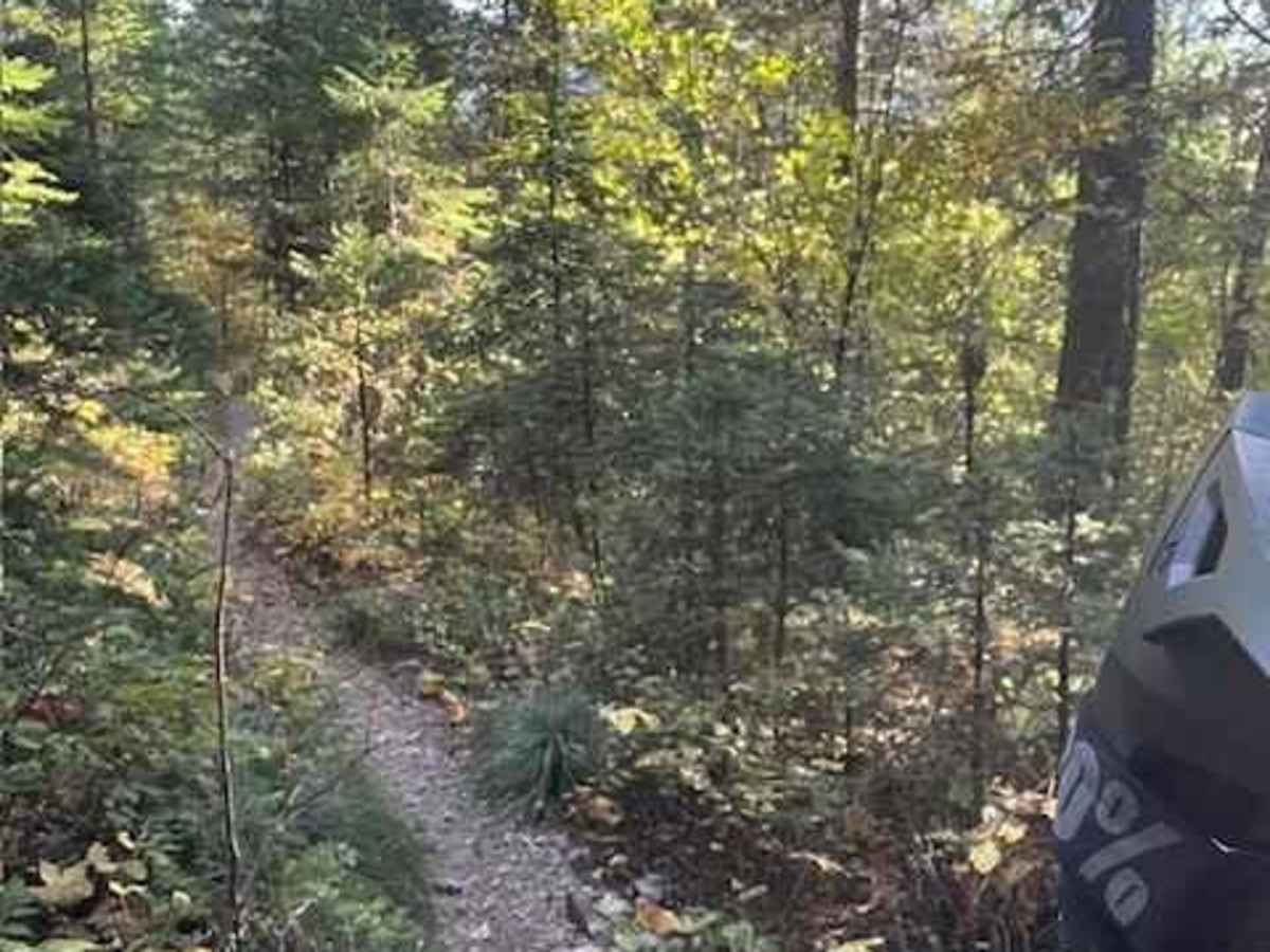 South Fork Hemler Creek photo 4