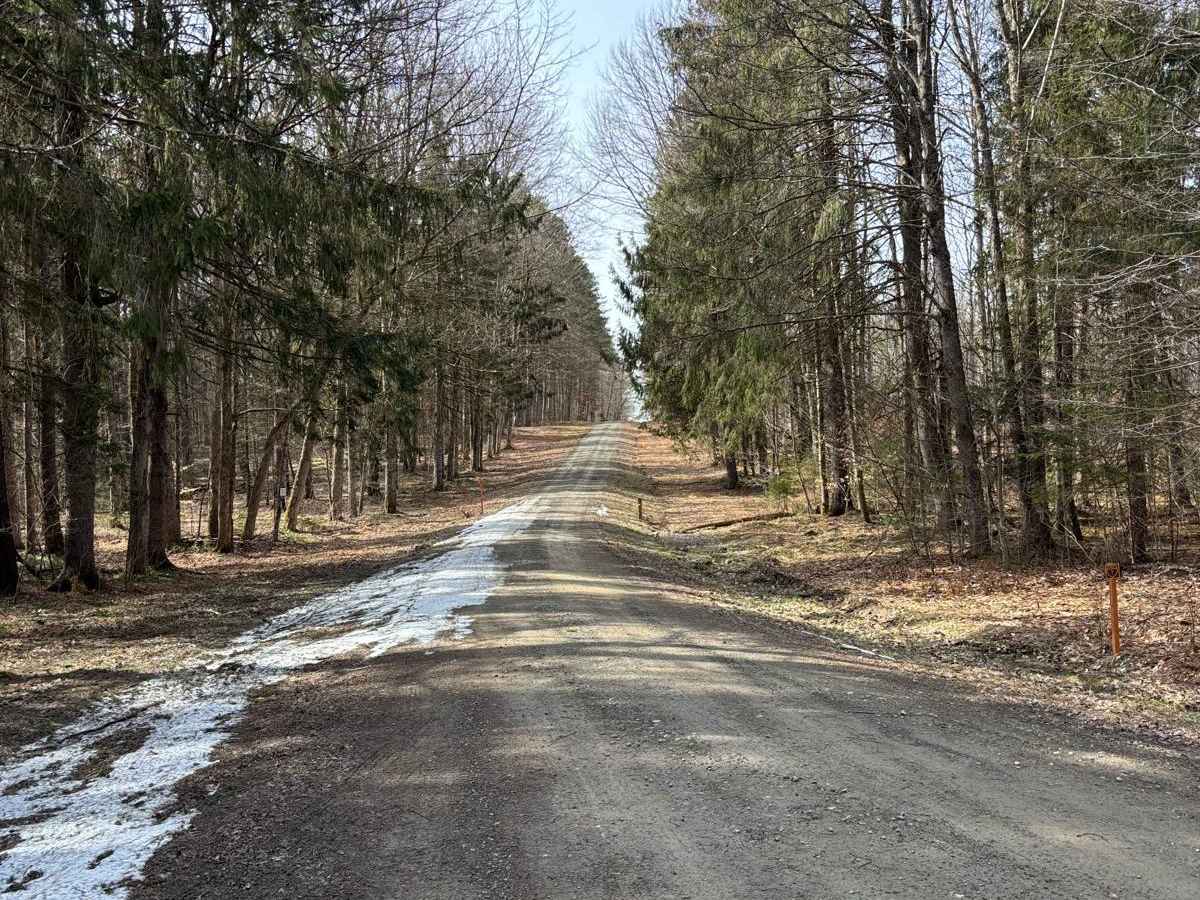 Old CCC Truck Trail photo 3