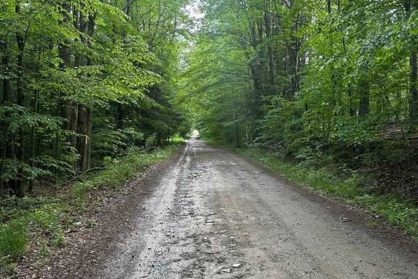 Scoville Road