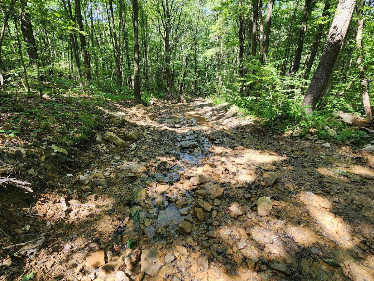 Trail 2C - Rock Run Recreation Area photo 3