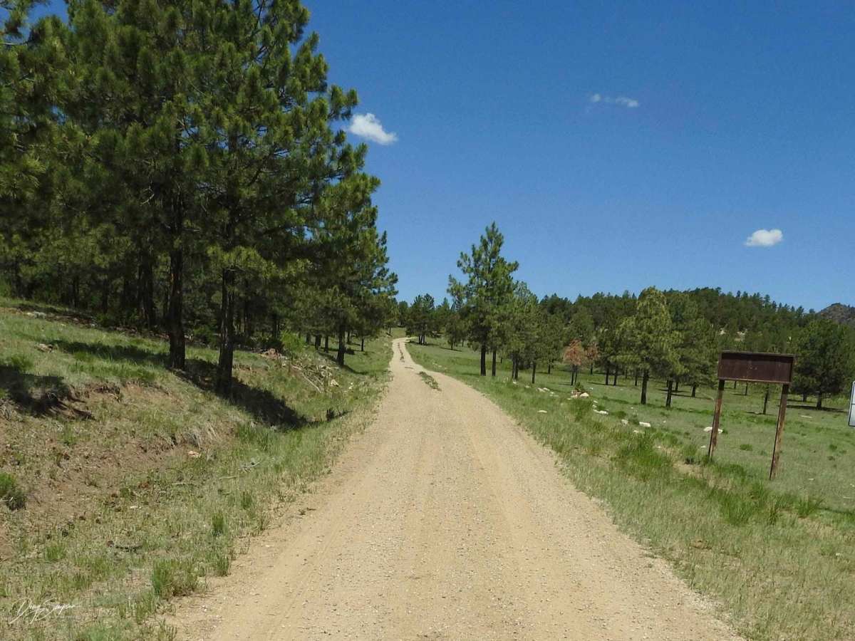 Turkey Creek Forest Road 637 photo 2