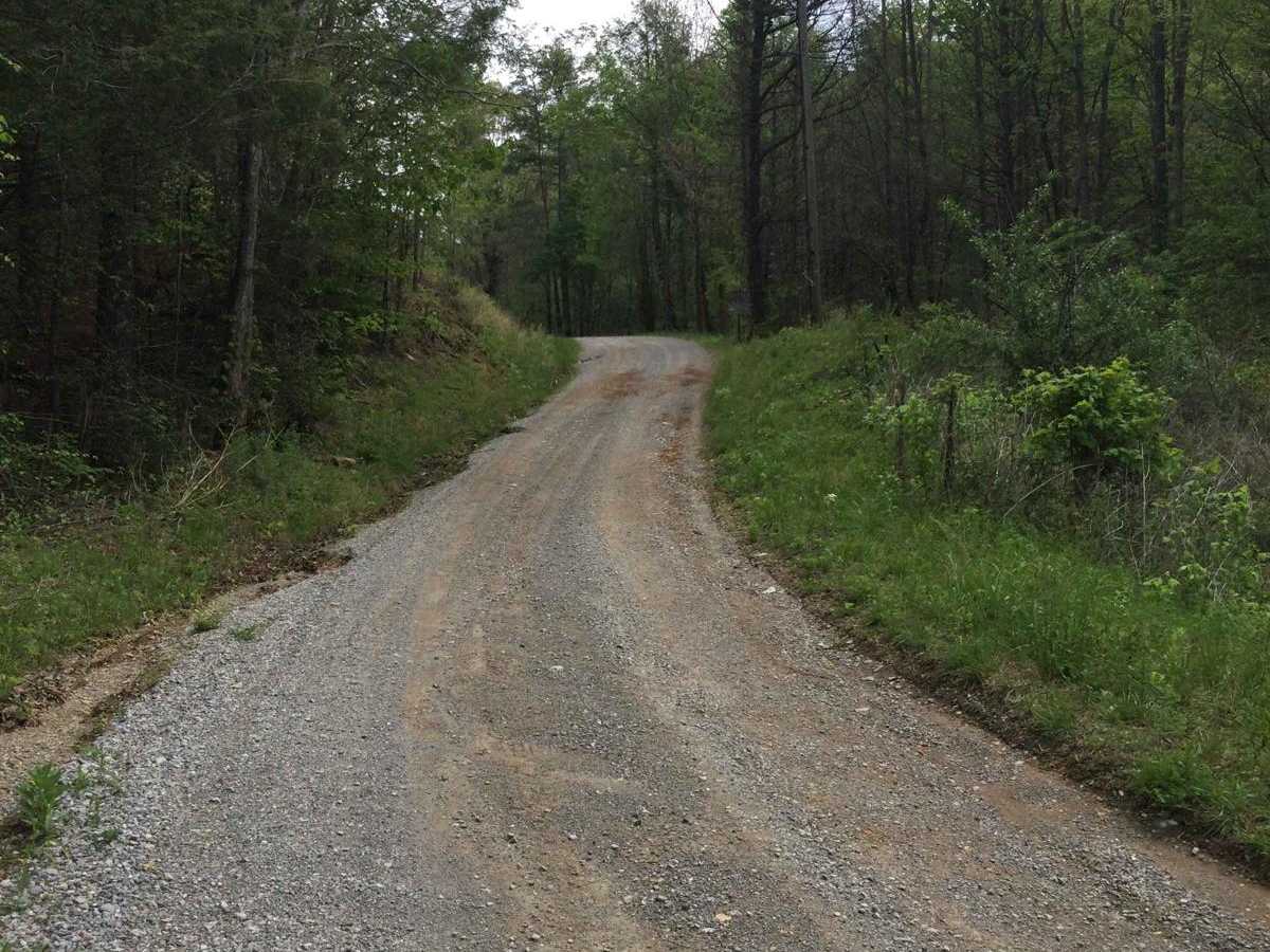 Rafter Road photo 2
