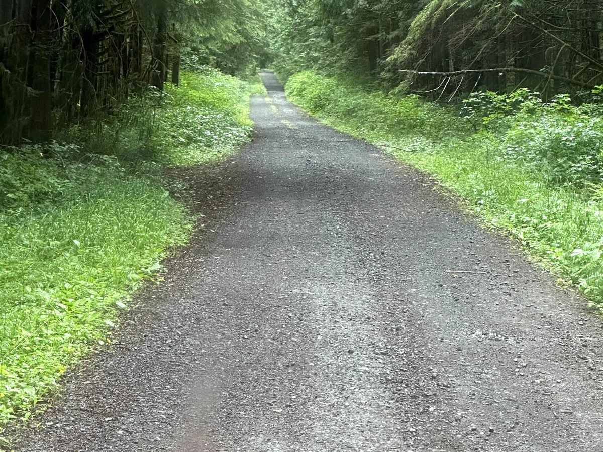 Newberry Creek Road photo 3