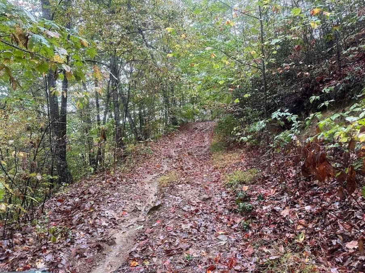 H/23 Green trail photo
