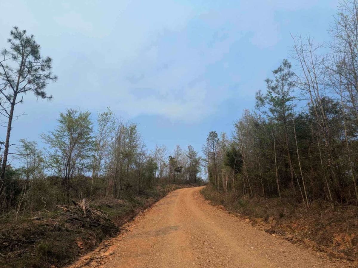 Lim Due Road photo 2