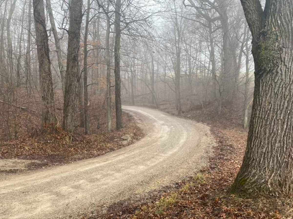 Old Plantation Access Road photo 4