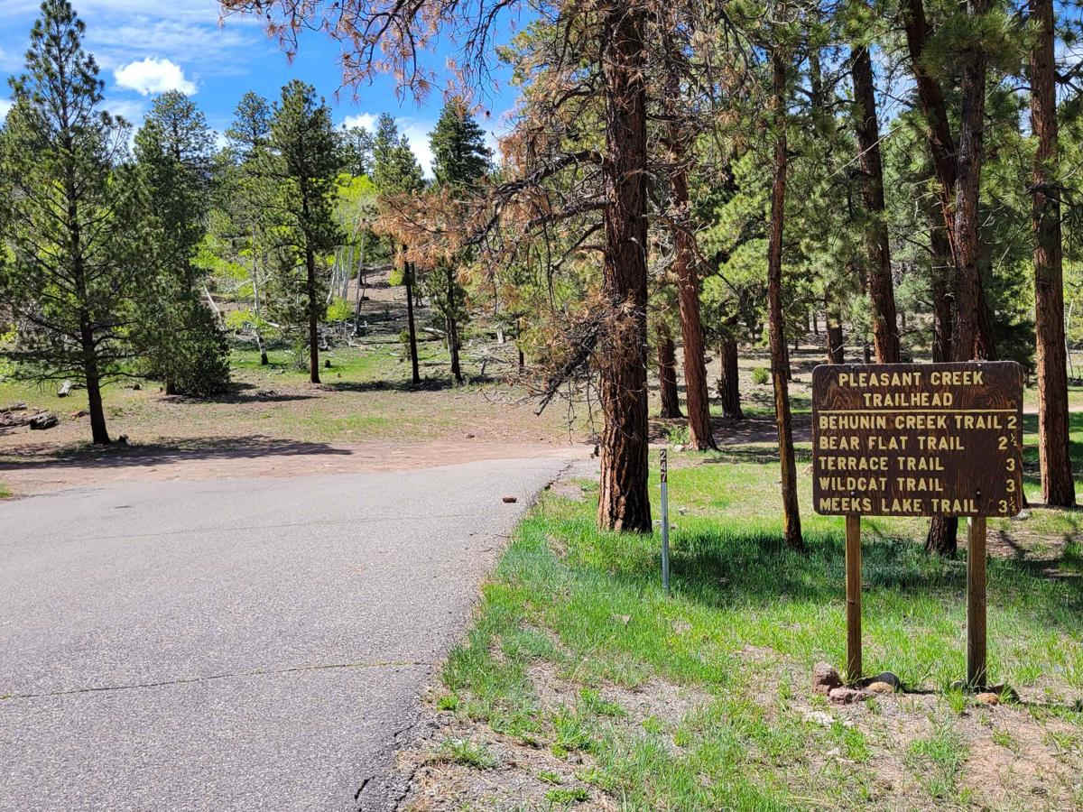 35158 - Pleasant Cr Trail trail photo