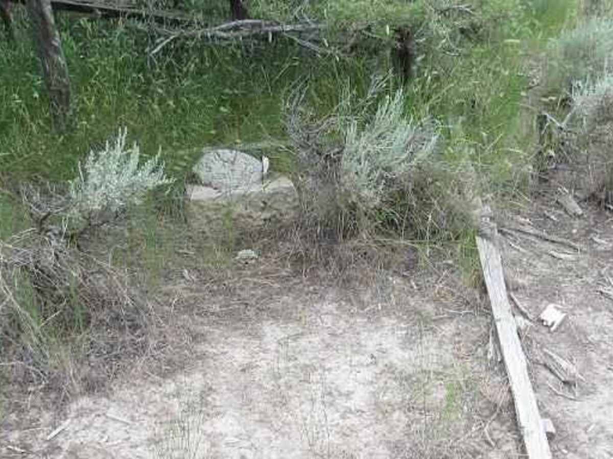 Cemetery Loop photo 5