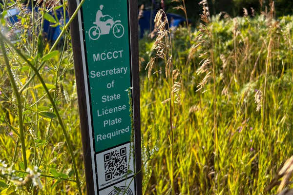 Where the Green Fern Grows Trail