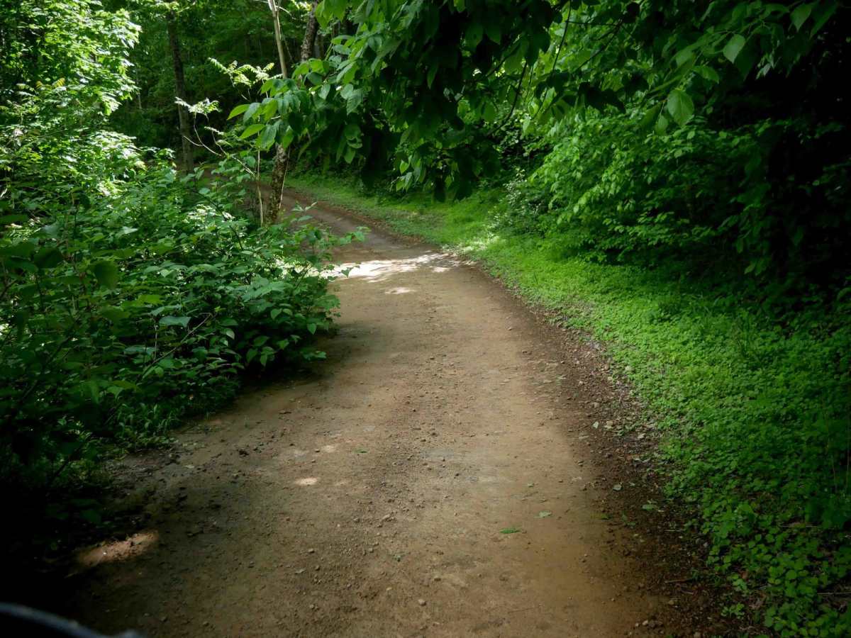 B20 trail photo