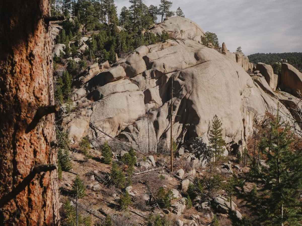 654 Roi Tan ATV Trail photo 4