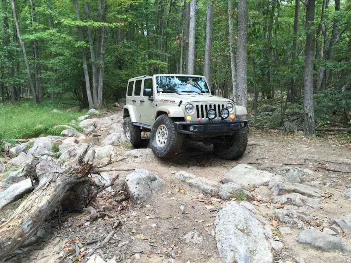 13 Black trail photo