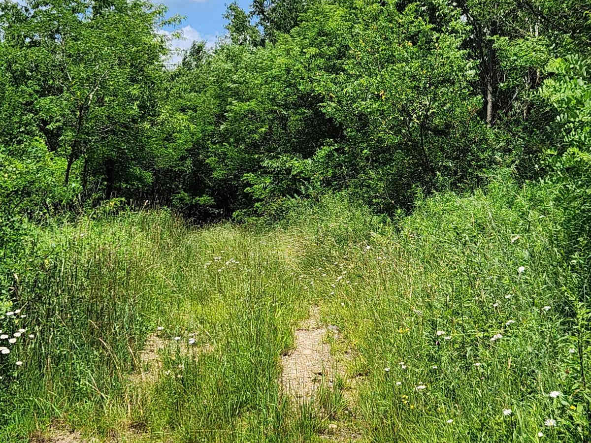 Trail 9 - Rock Run Recreation Area photo 3