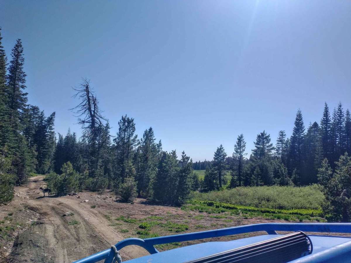 Ellis Lake Trail photo 5
