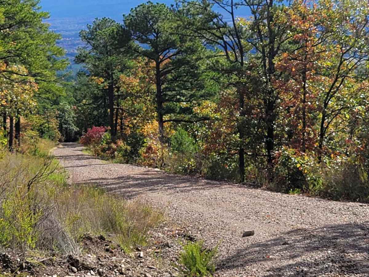 Poteau Mountain South photo 6