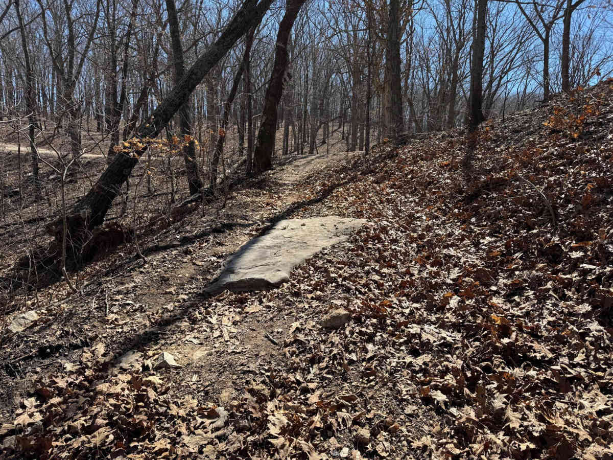 FSR 605 photo 2