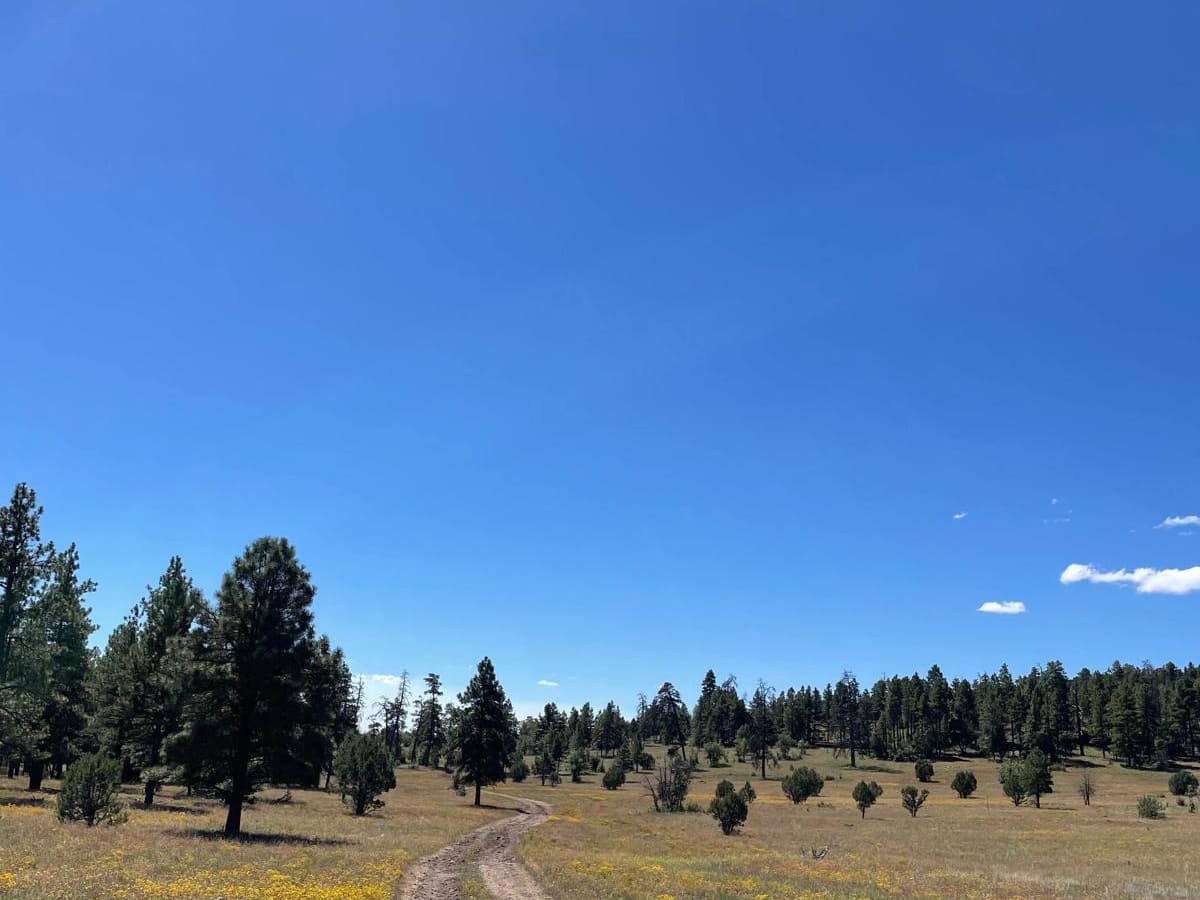 FS 620C trail photo