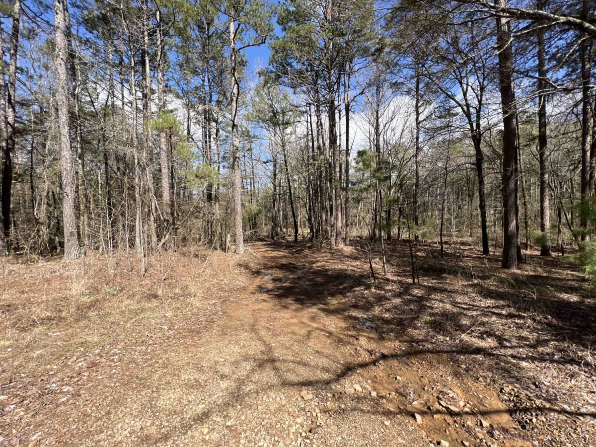 Peeler Gap Shooting Range photo 2