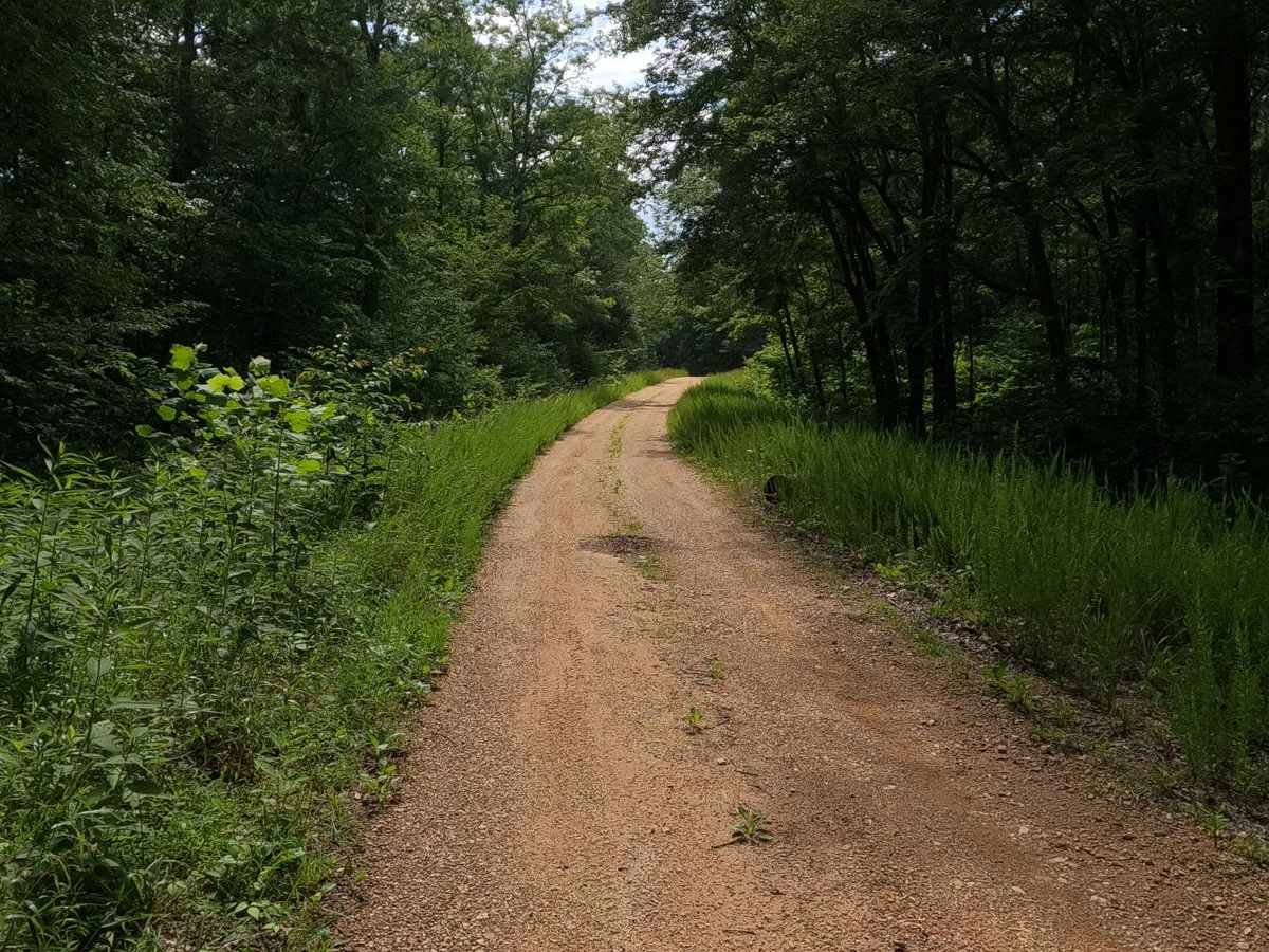 Ginger Bay Road FS 205 photo 6