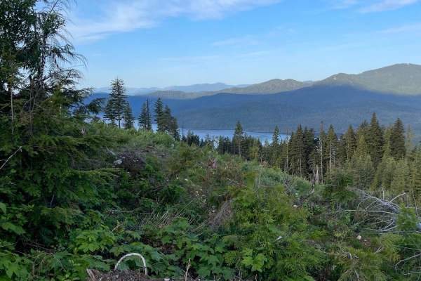 Lucky Creek Road