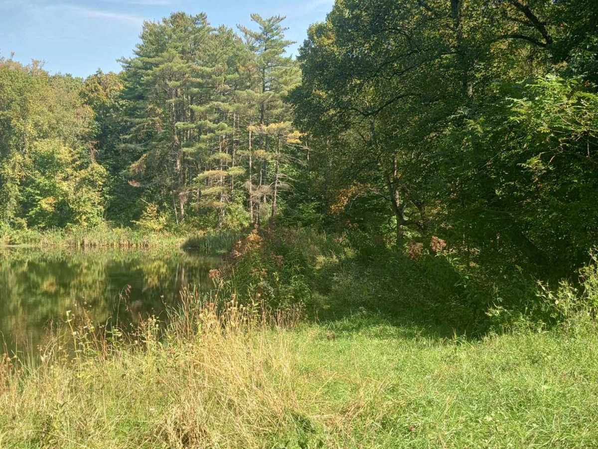 Hunterdon Road photo 4