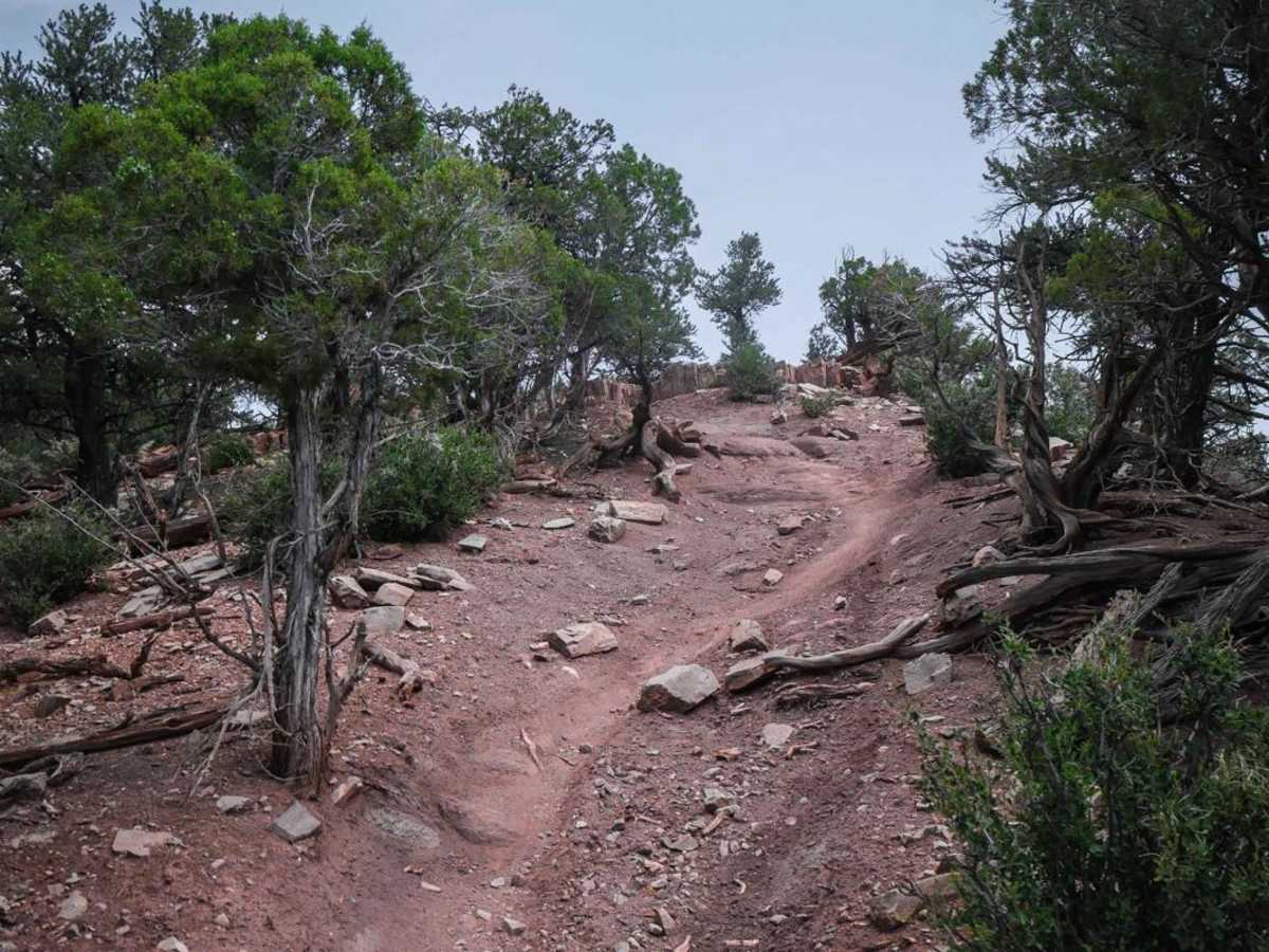 BLM 8623 trail photo