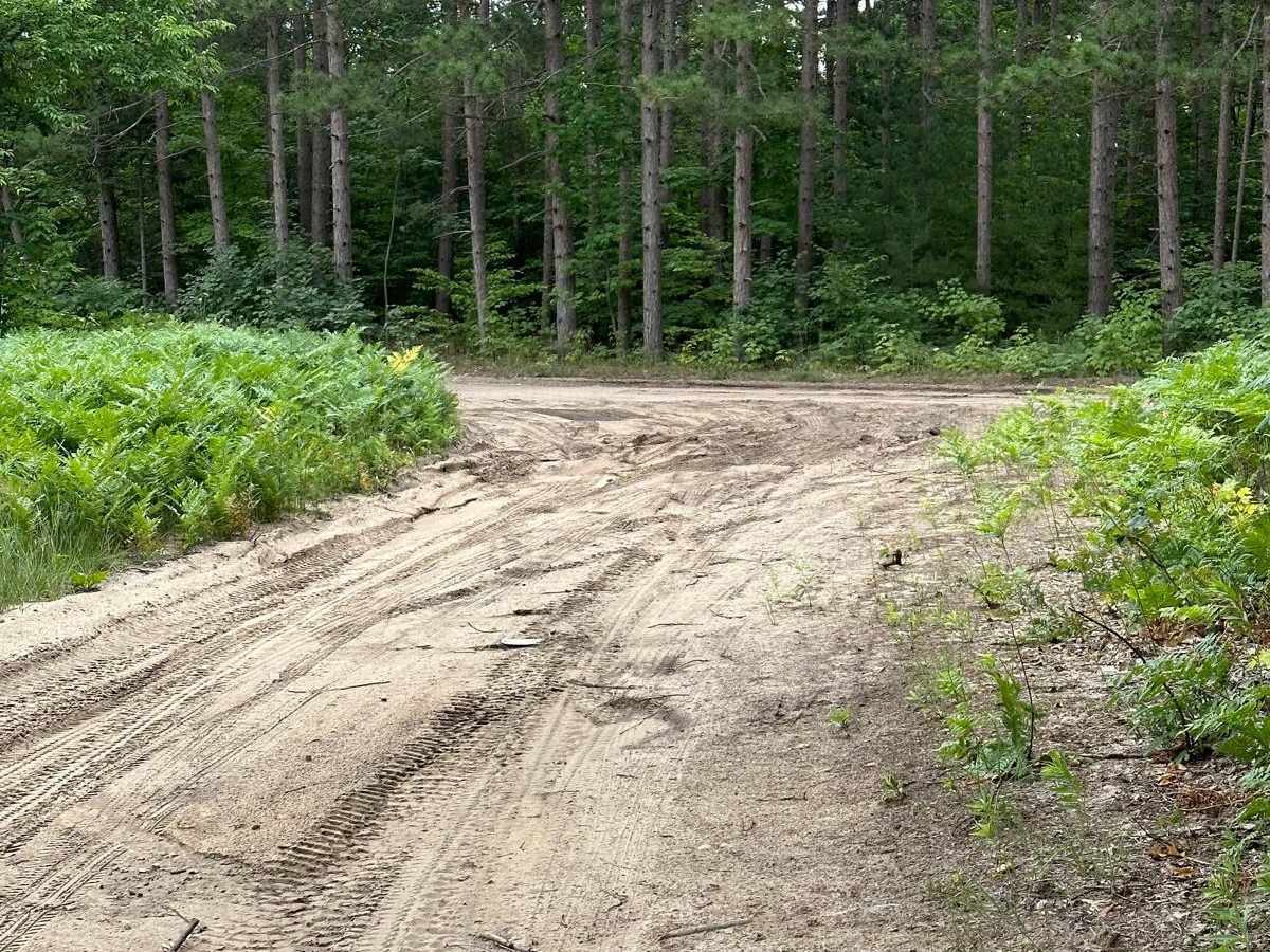South Reynolds Road Spur trail photo