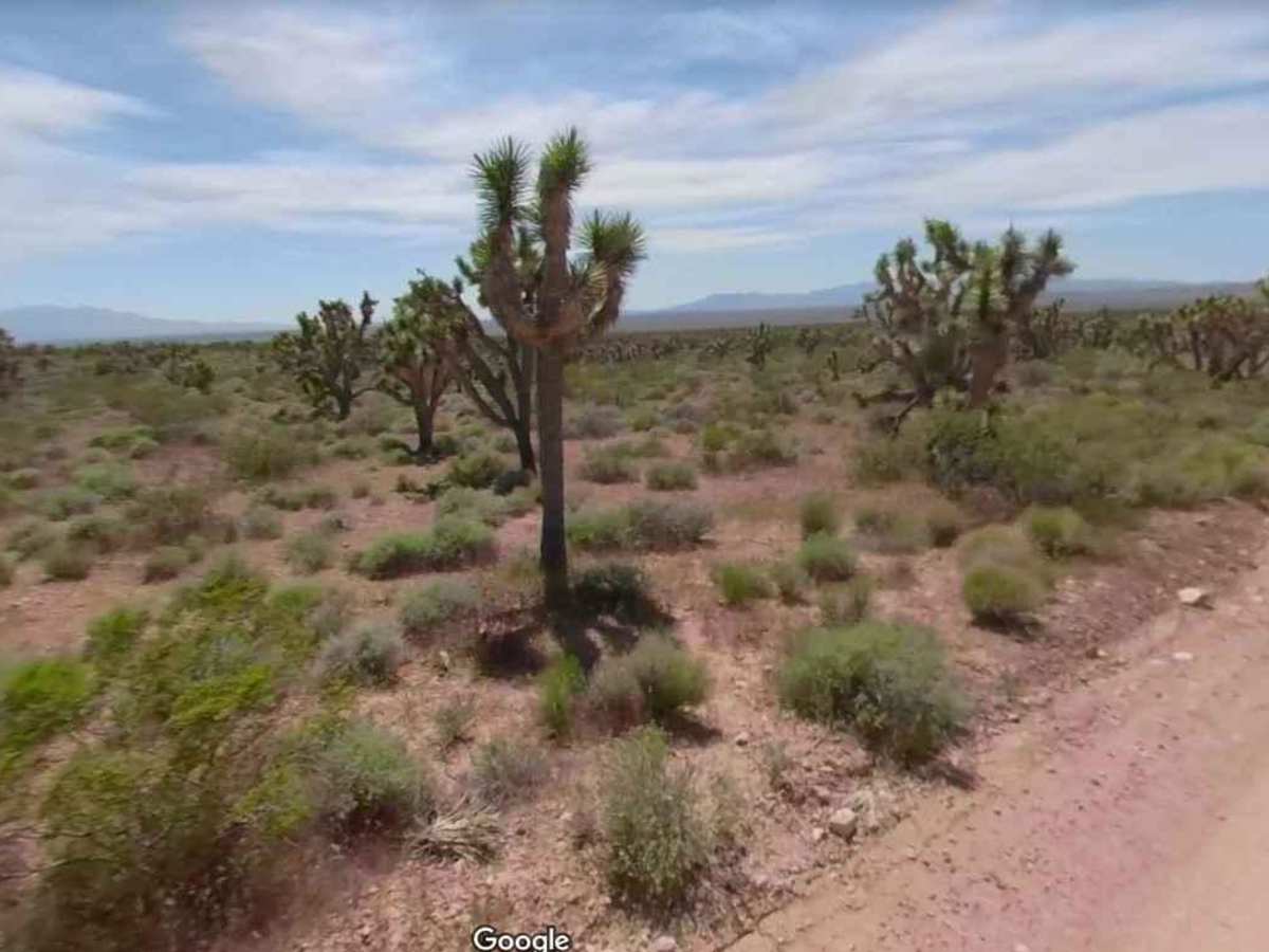 BLM30091 photo 5
