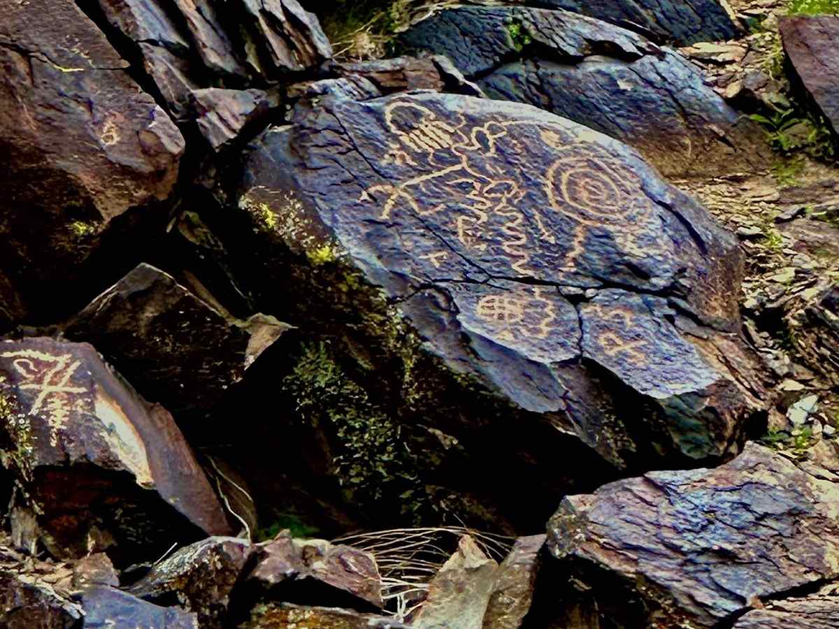 Cohenour Loop trail photo