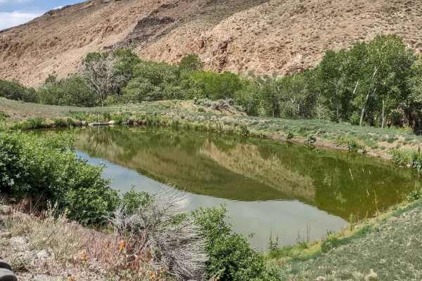 Manning Creek Canyon (FS# 42000)