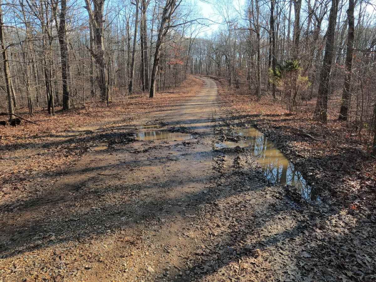 Old Silver Trail - FS 320 photo 6