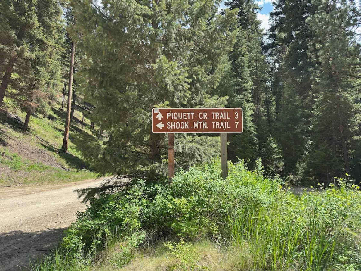 Shook Mountain photo 2
