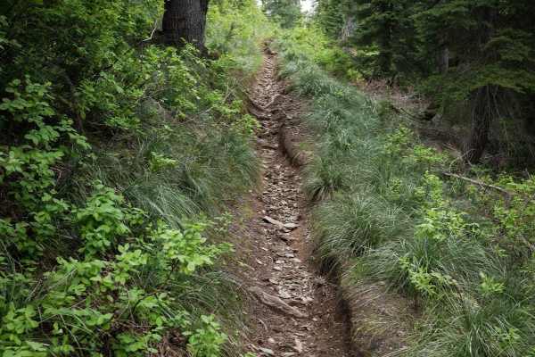 Flume Creek ATV