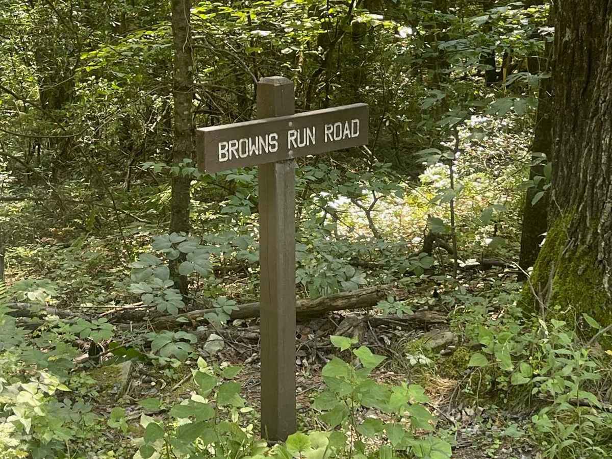 Browns Run Road trail photo