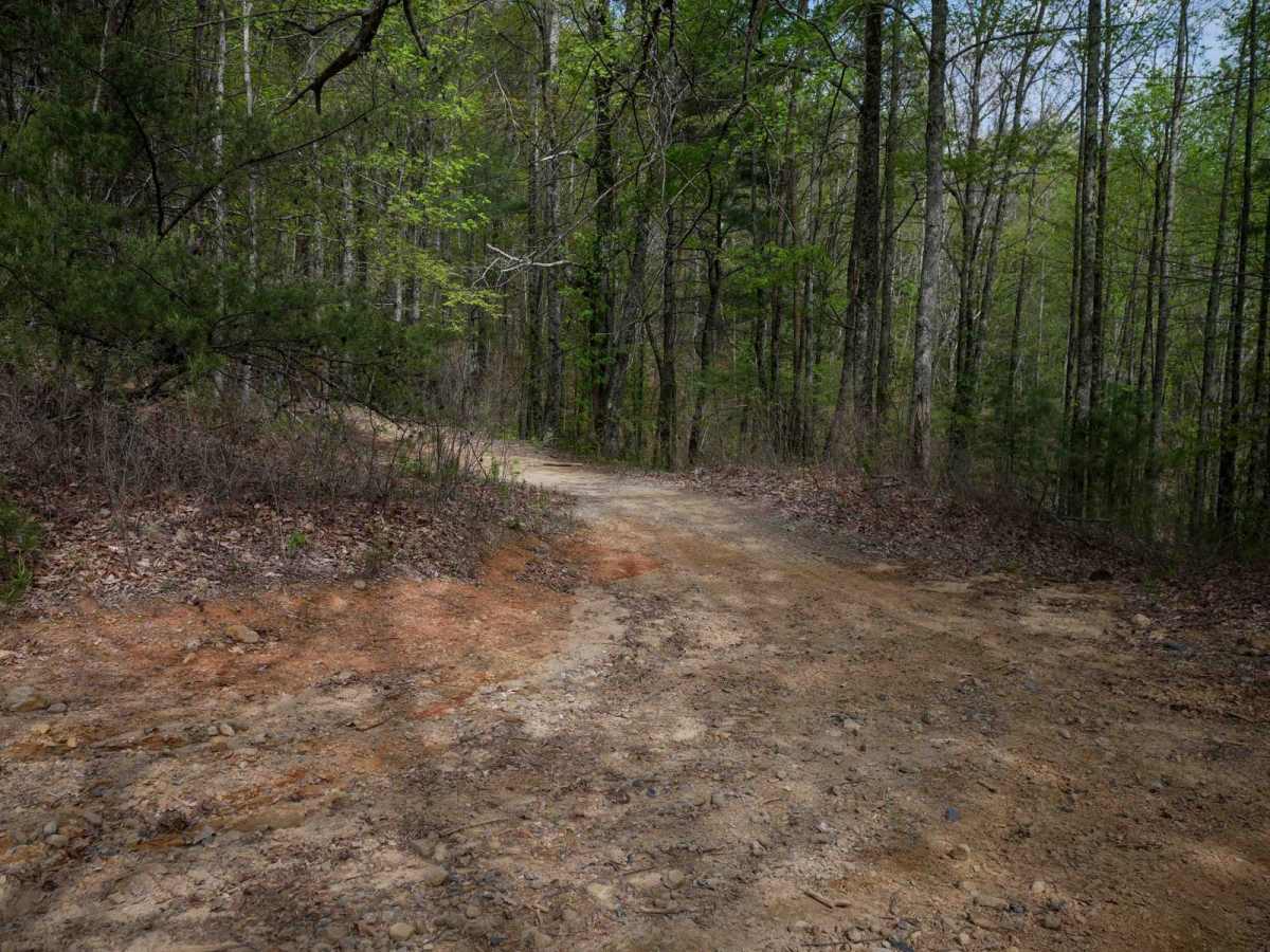 Tibbs ATV photo 3