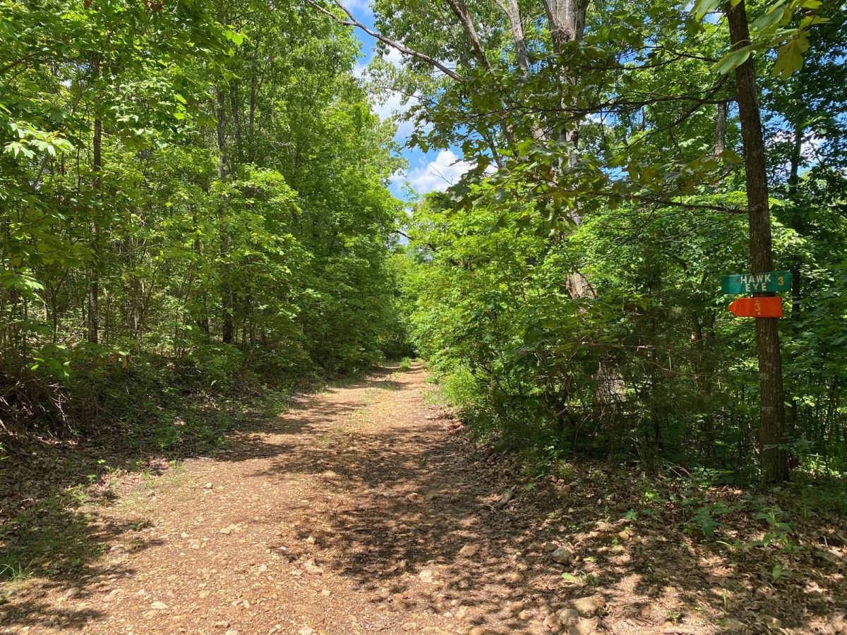Hawk Eye trail photo