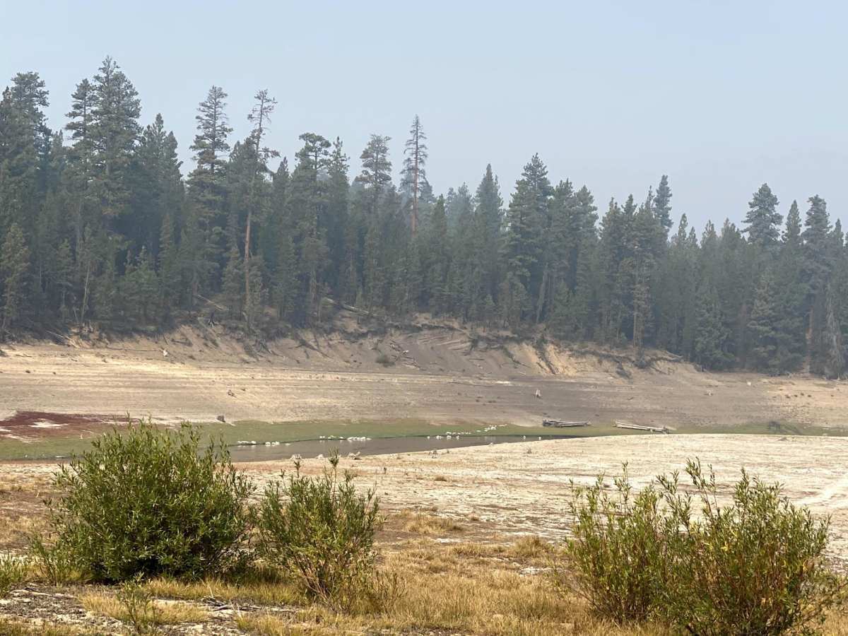 Reservoir Road - FSR 44 trail photo