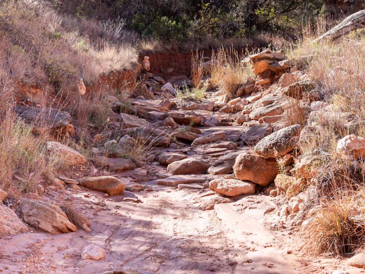 Bergflow Section 2 photo 6