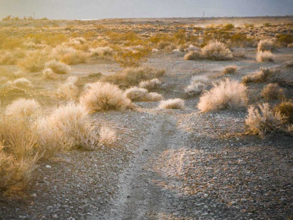5 Horsepower Trail photo 5