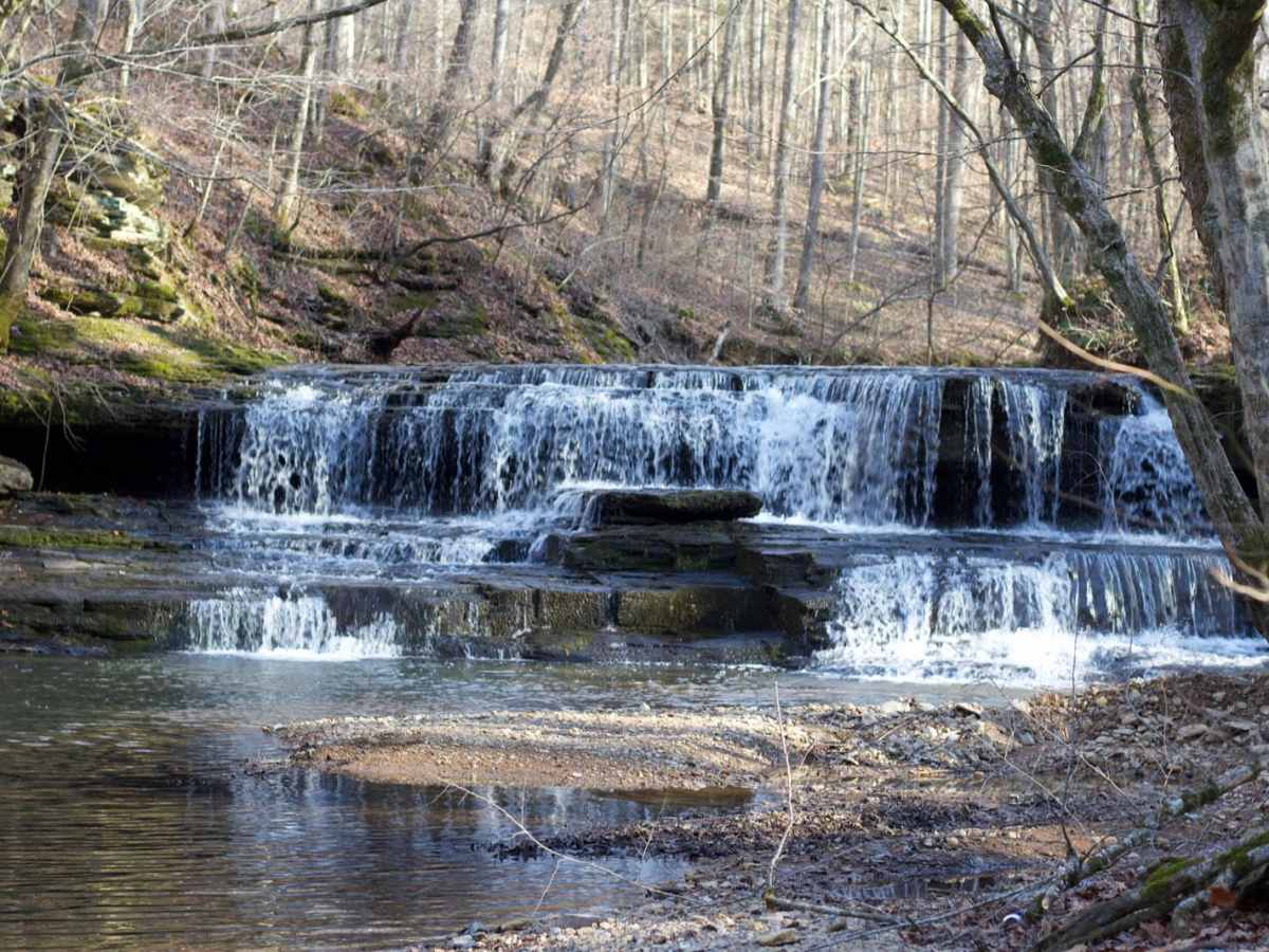 Long Fork Waterfall trail photo