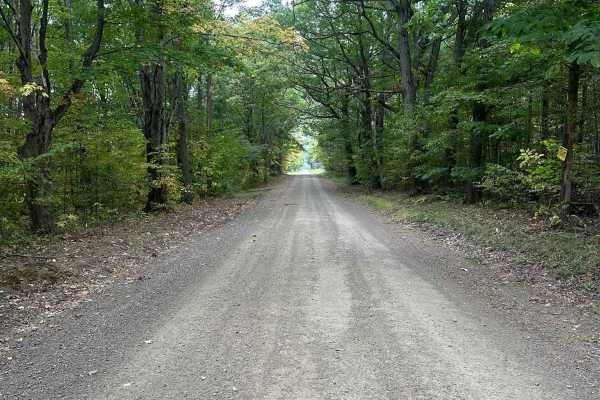 Bauchman Road