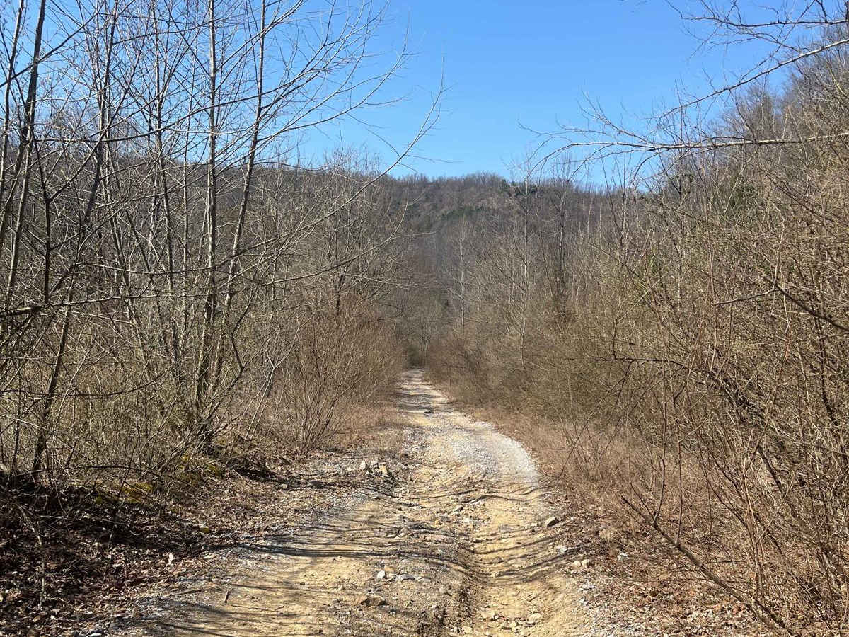 Trail 30 (Bear Branch) photo 4